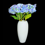 Beautiful Blue Flowers With White Planter