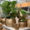 GeoGrow Modern Planters