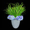 Green Flowers with Beautiful Planter