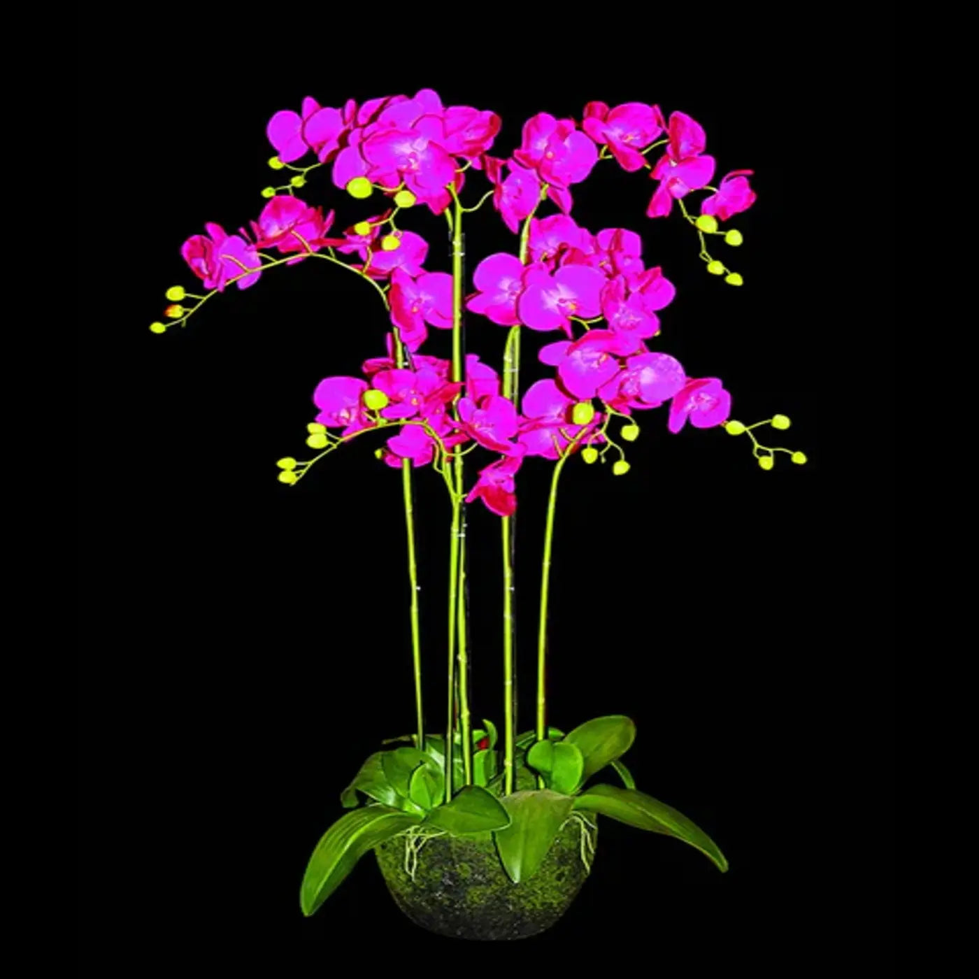 Magenta Flower With Planter