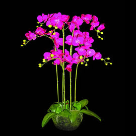 Magenta Flower With Planter