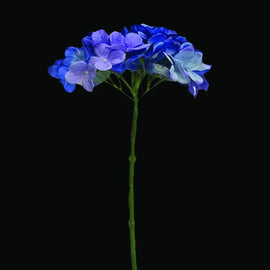 Premium Quality Blues Artificial Flowers