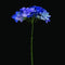 Premium Quality Blues Artificial Flowers