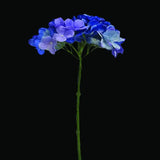 Premium Quality Blues Artificial Flowers