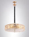 Saltoro Modern And Contemporary Stylish Chandelier Light