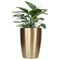 TerraLuxe Stylish Planters