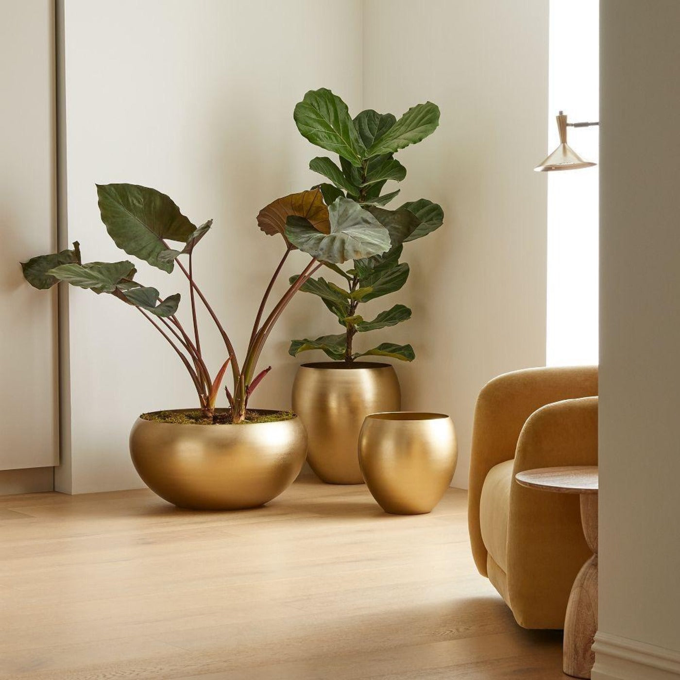 UrbanLeaf Metal Planters