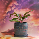 Black Marbled Planter Pot with Saucer | Gifts for Plant Lovers